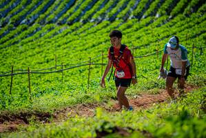 BIB: 159
                            <button type="button" onclick="openModal(19162279)" class="btn btn-primary btn-sm float-right btn-popup" data-toggle="modal" data-target=".modal-high-quality">
                        <i class="fas fa-shopping-cart"></i> Add to Cart
                    </button>
                                            <button type="button" onclick="isThisMe(19162279, true)" class="btn btn-success btn-sm float-right btn-popup btn-isme hidden" data-toggle="tooltip" data-placement="bottom" title="นี่คือรูปของคุณใช่ไหม คลิกที่นี่เพื่อเอาเข้าอัลบั้ม">
                        <i class="fas fa-plus"></i> Add to album
                    </button>
                    <button type="button" onclick="isThisMe(19162279, false)" class="btn btn-warning btn-sm float-right btn-popup btn-isnotme hidden">
                        <i class="fas fa-ban"></i> Remove from album
                    </button>